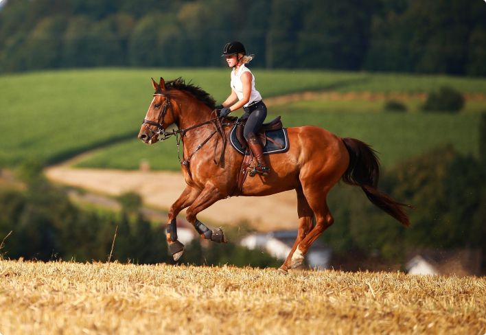 Young woman riding a horse across an open field