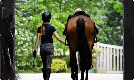 Young woman walking her horse out of the stable