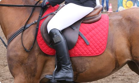 Close up shot of the side of a horse with a woman riding in full dressage
